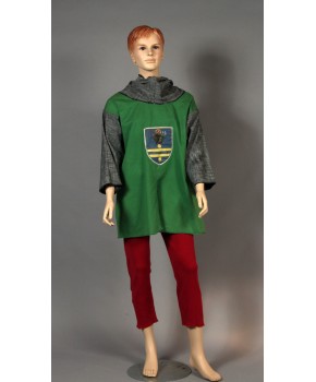 https://malle-costumes.com/10940/chevalier-vert-122.jpg