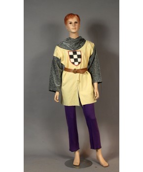 https://malle-costumes.com/10959/chevalier-jaune-126.jpg