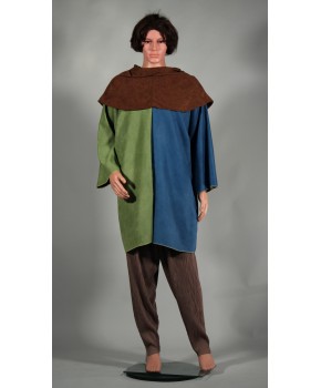 https://malle-costumes.com/11092/bipartie-vert-bleu-583.jpg