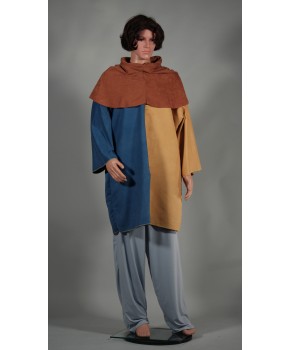 https://malle-costumes.com/11098/bipartie-jaune-bleu-562.jpg