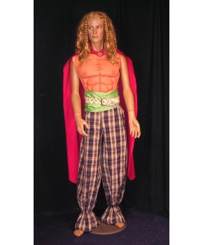https://malle-costumes.com/11471/beau-gaulois.jpg