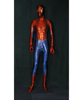https://malle-costumes.com/11567/homme-araignee.jpg