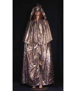 https://malle-costumes.com/3146/cape-argent-paillettes.jpg