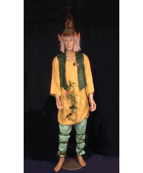 https://malle-costumes.com/3233/lutin-1.jpg
