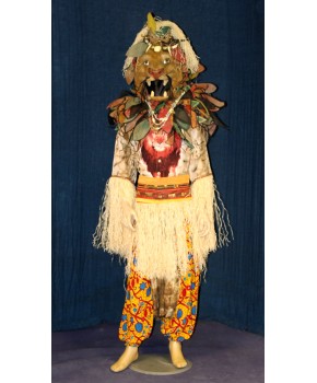 https://malle-costumes.com/3356/roi-lion.jpg