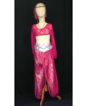 https://malle-costumes.com/4562/jasmine-fushia-multicolore.jpg