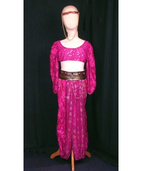 https://malle-costumes.com/4563/jasmine-rose-multicolore.jpg