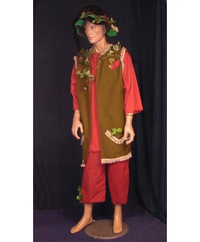 https://malle-costumes.com/4587/lutin-3.jpg