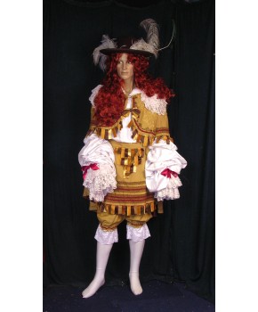 https://malle-costumes.com/4709/roi-soleil.jpg