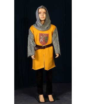 https://malle-costumes.com/4840/chevalier-jaune-101.jpg