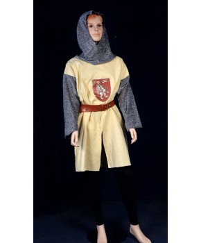 https://malle-costumes.com/4843/chevalier-jaune-341.jpg