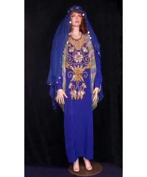 https://malle-costumes.com/5478/robe-paillettes-bleu.jpg