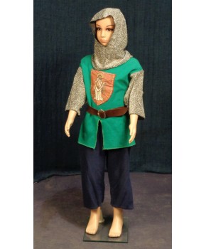 https://malle-costumes.com/6356/chevalier-vert-42.jpg