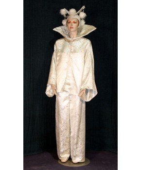 https://malle-costumes.com/6931/lutin-argent-st-165-3.jpg