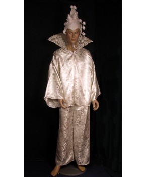 https://malle-costumes.com/6933/lutin-argent-p5.jpg