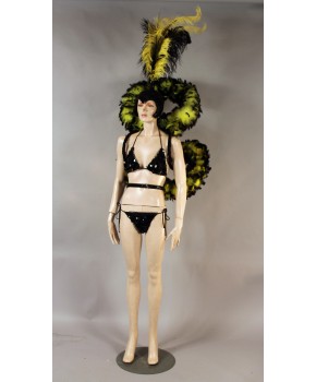 https://malle-costumes.com/6938/revue-plumes-jaune-noir.jpg