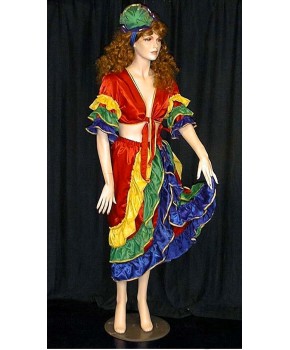 https://malle-costumes.com/7112/bresilienne-rouge-multicolore.jpg