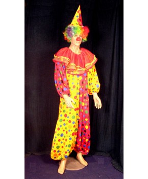 https://malle-costumes.com/7122/clown-bicolore-pois.jpg