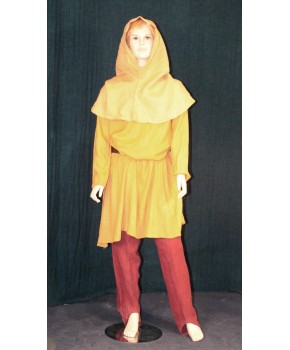 https://malle-costumes.com/7250/robin-m-jaune-2.jpg