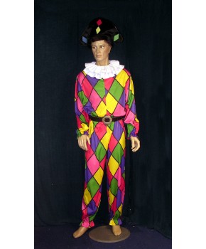 https://malle-costumes.com/7420/arlequin-combi.jpg
