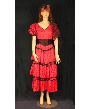 https://malle-costumes.com/7423/espagnole-a-pois-rouge-et-noir.jpg