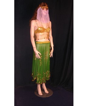 https://malle-costumes.com/7522/asna.jpg