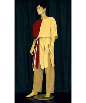 https://malle-costumes.com/7660/bipartie-homme-464.jpg