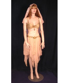 https://malle-costumes.com/7911/orientale-voile-2.jpg