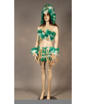 https://malle-costumes.com/8411/africa-plumes-vertes-blanches.jpg