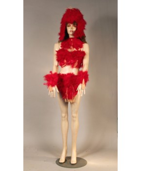https://malle-costumes.com/8415/africa-plumes-rouge.jpg