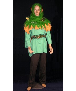 https://malle-costumes.com/9722/lutin-2.jpg