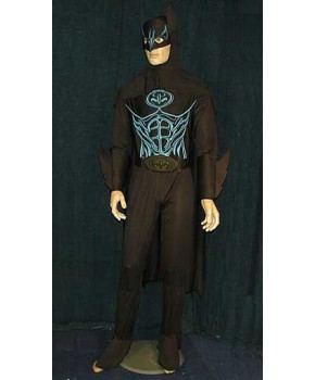 https://malle-costumes.com/9788/batman-bleu.jpg