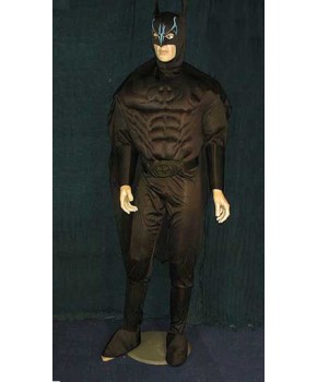 https://malle-costumes.com/9789/batman-muscle.jpg